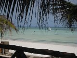   : Zanzibar 2011